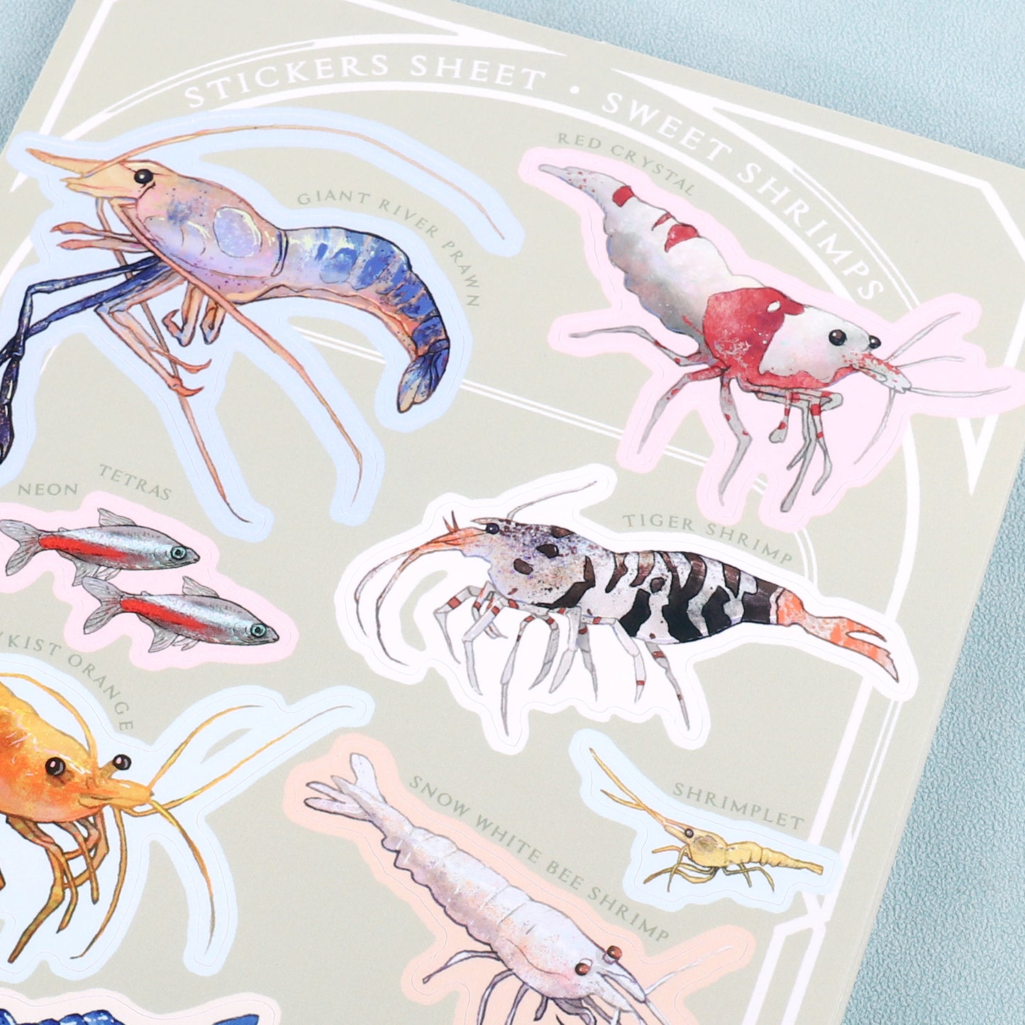 Stickers Sheet Sweet Shrimps