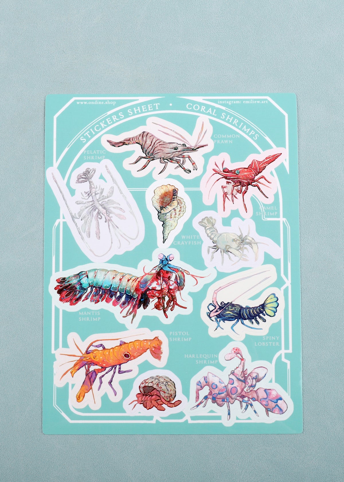 Stickers Sheet Coral Shrimps