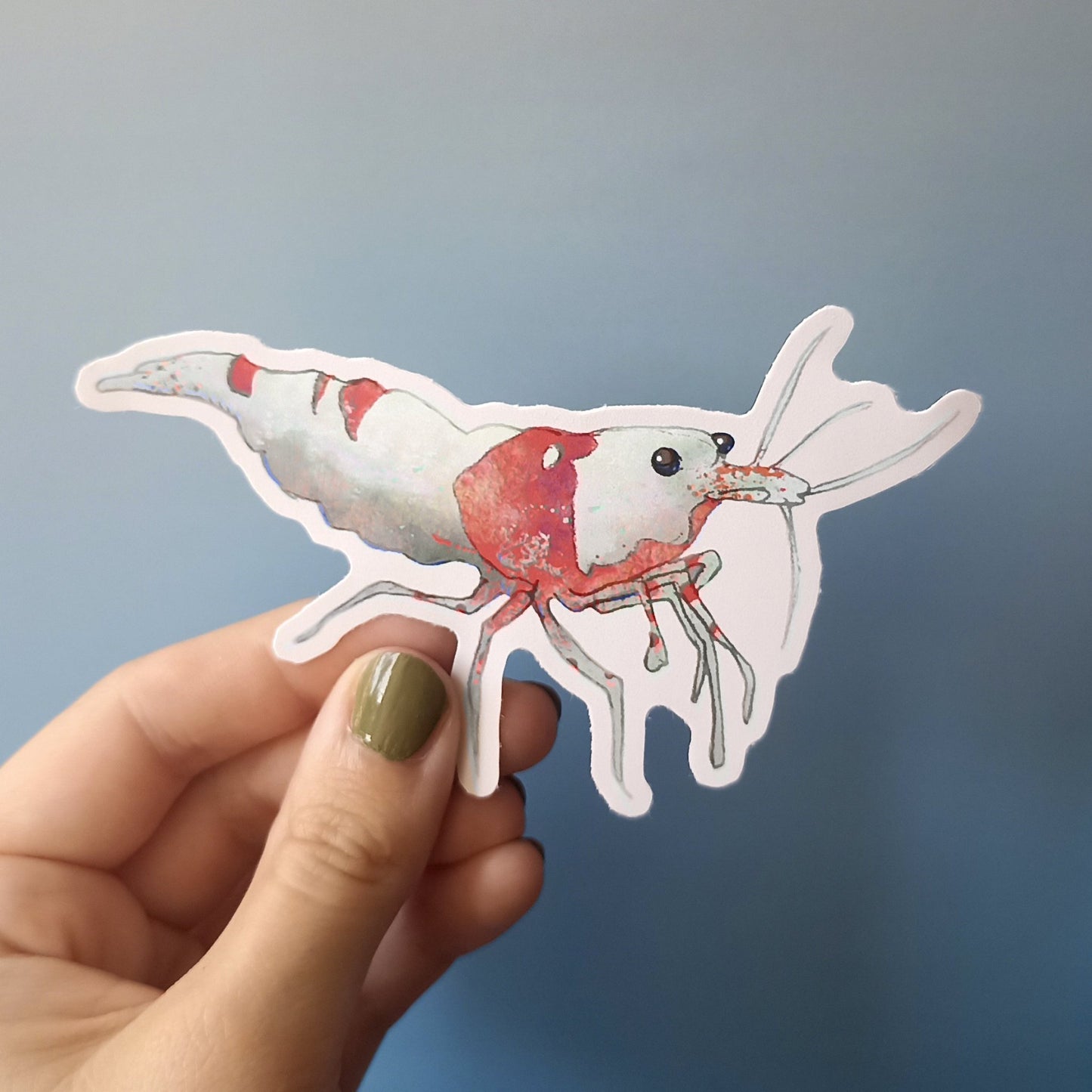 Shrimp sticker