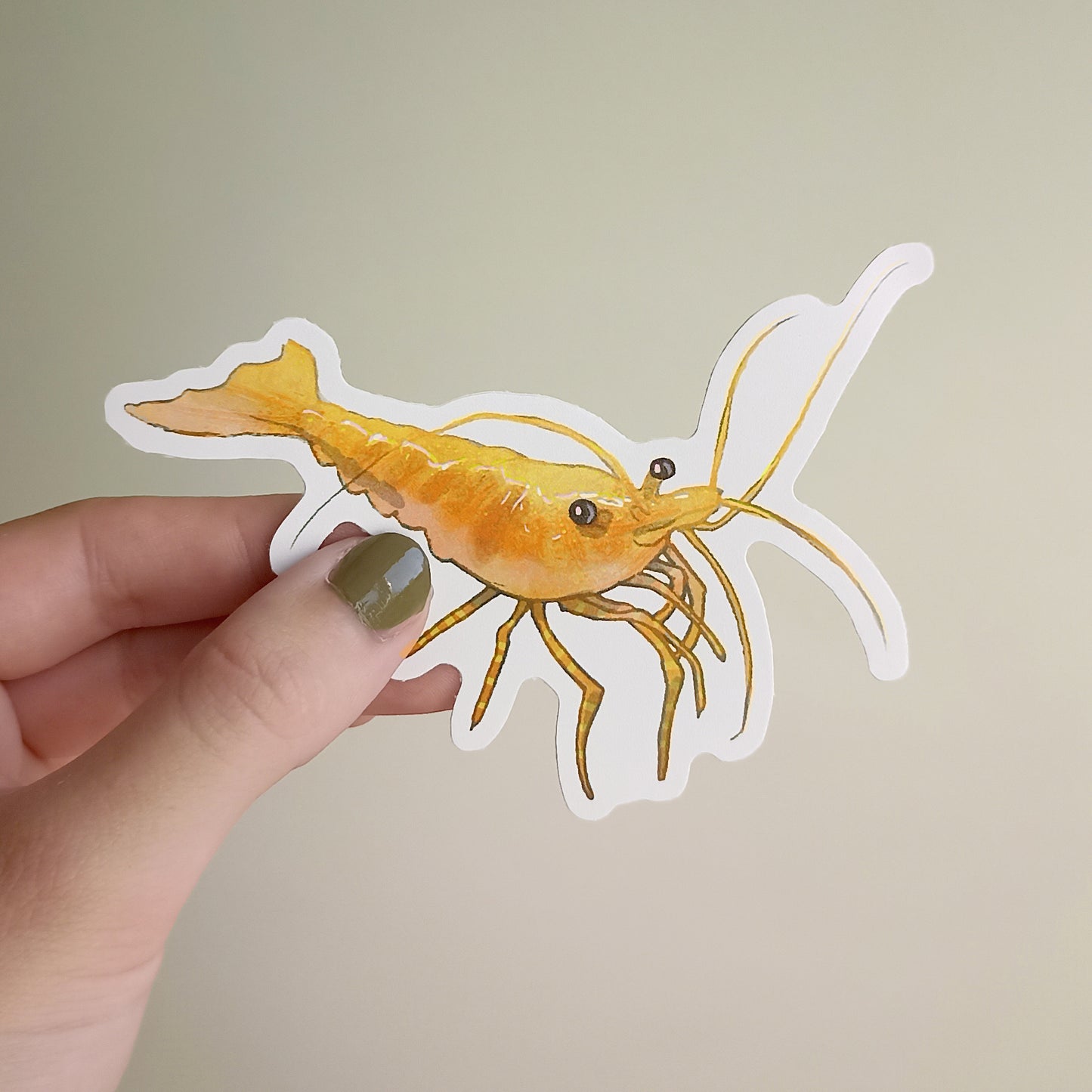 Shrimp sticker