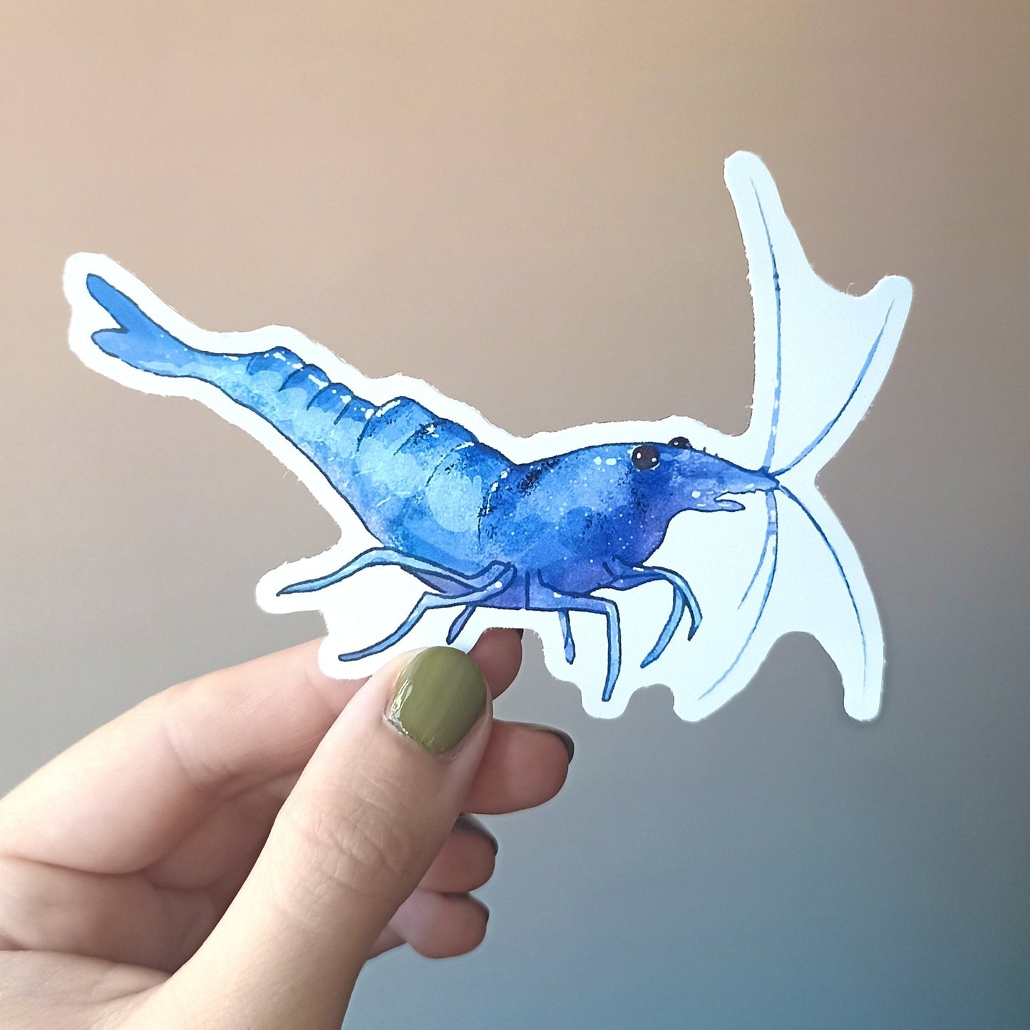 Shrimp sticker