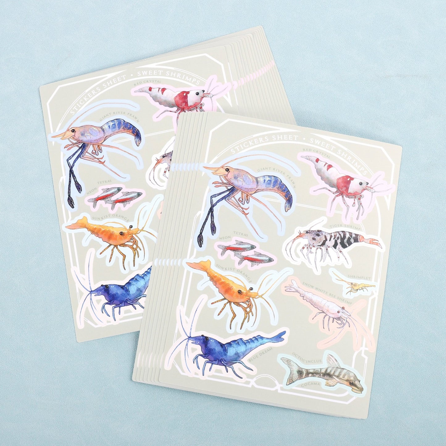 Stickers Sheet Sweet Shrimps