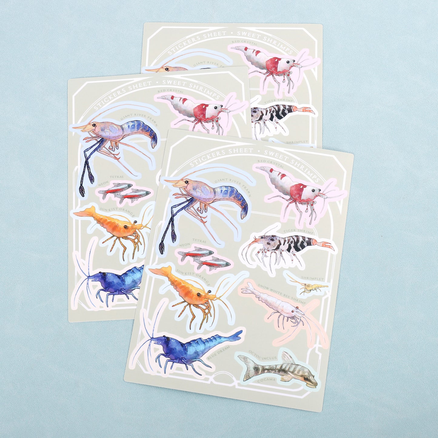 Whimsical sticker sheet duo