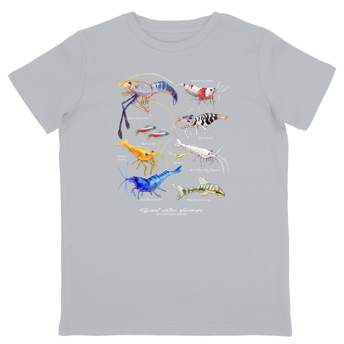 Sweet Shrimps - Light Kids T-Shirt - face_gris