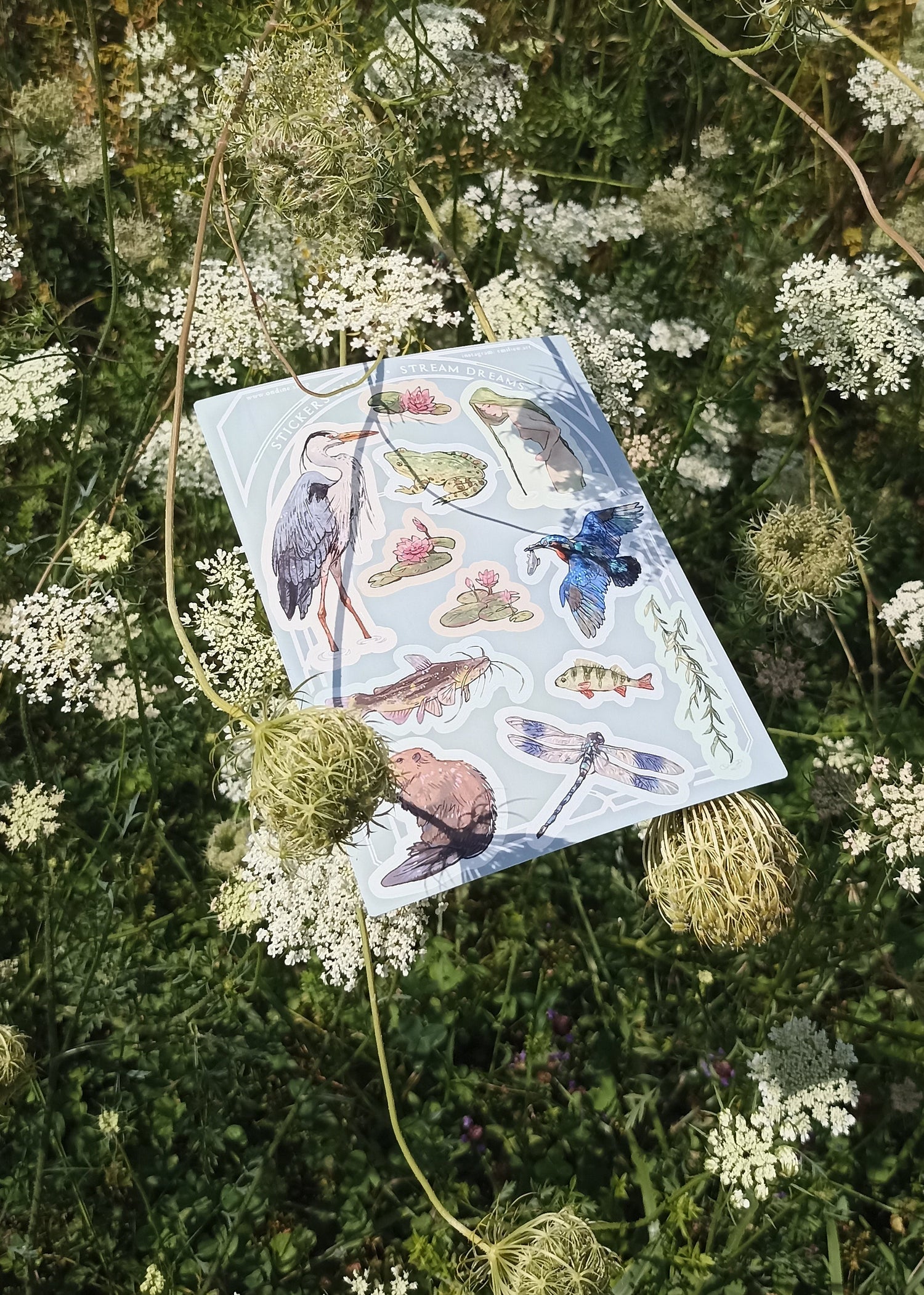 New - Summer Collection