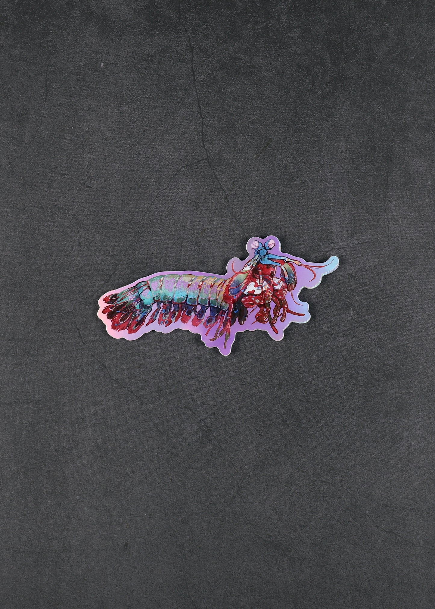 Holographic Mantis Shrimp