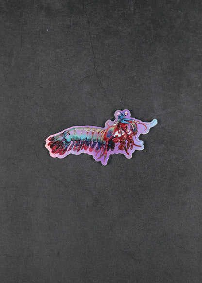 Holographic Mantis Shrimp