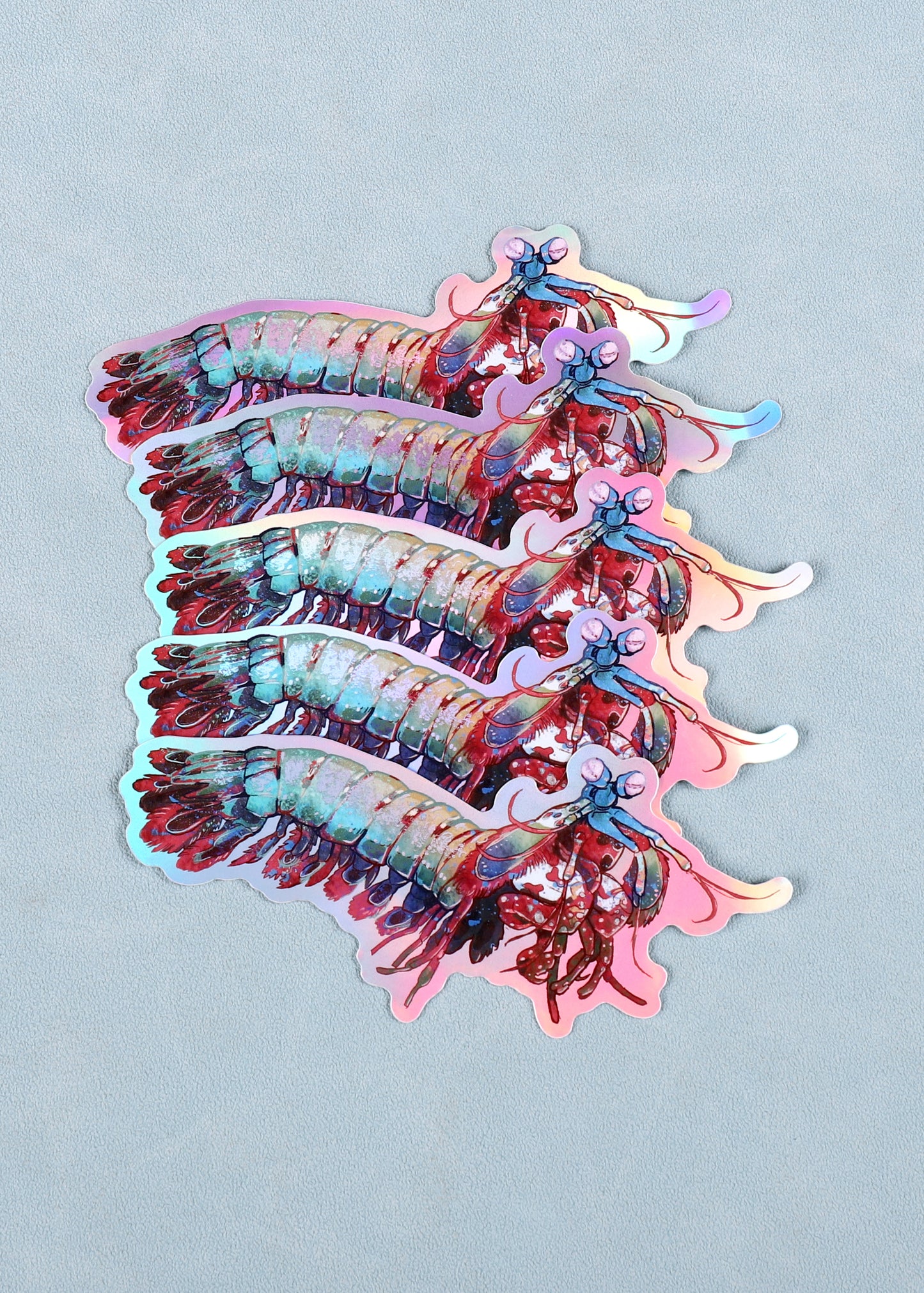 Holographic Mantis Shrimp