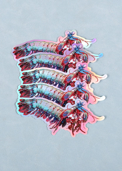 Holographic Mantis Shrimp