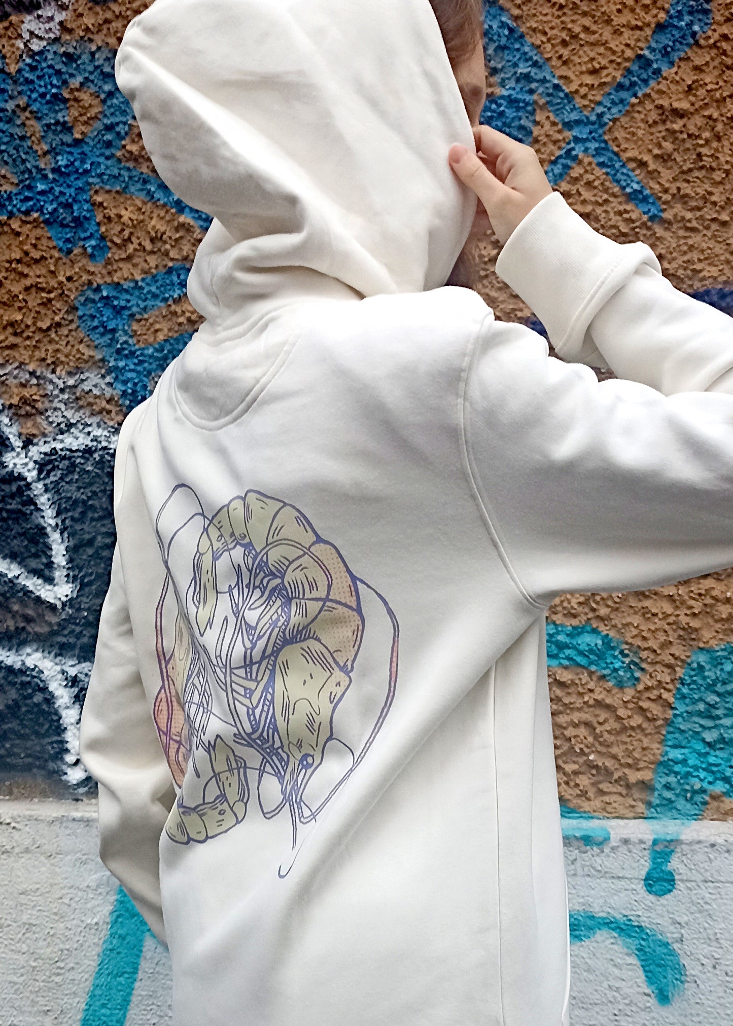 Sweat à capuche - Crevettes Cursives