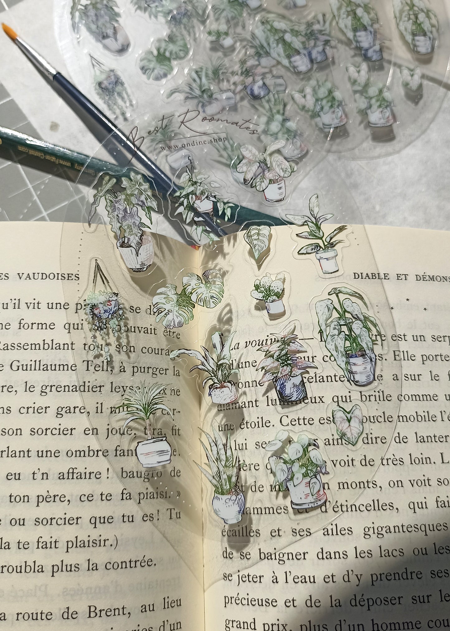 Stickers Sheet transparente - Plantes
