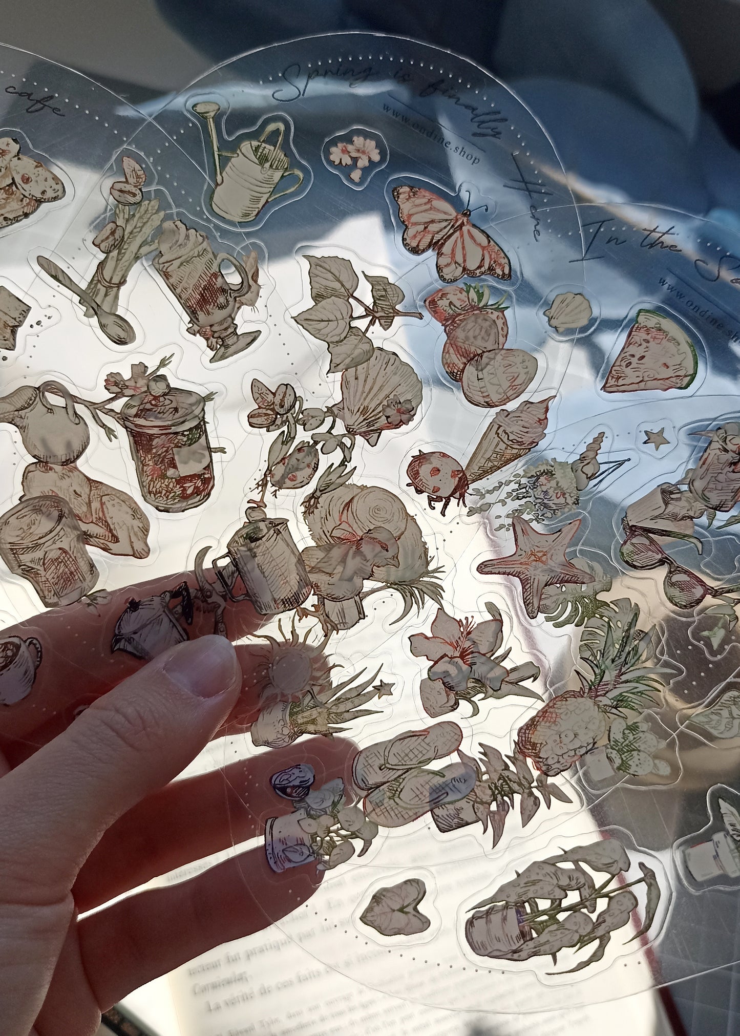 Transparent Sticker Sheet Bundle