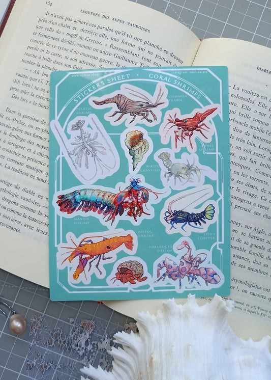 Stickers Sheet Coral Shrimps