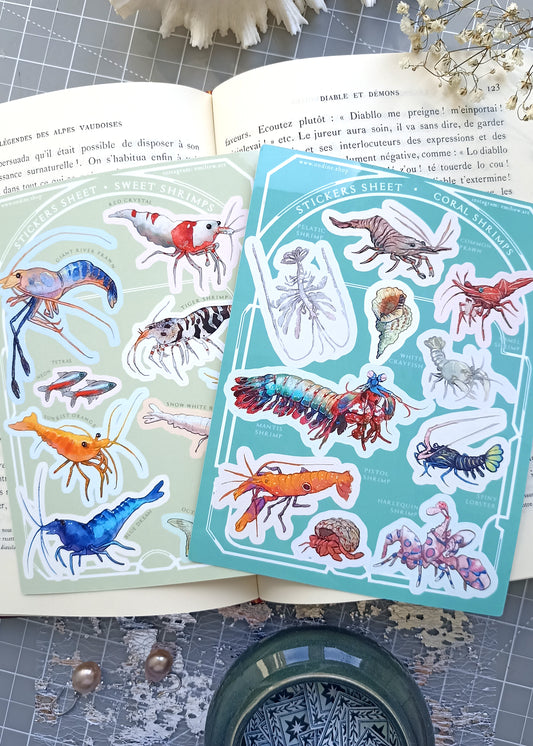 All about Shrimps sticker sheet duo