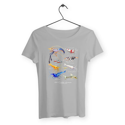 Woman's T - Sweet Shrimps - face_gris