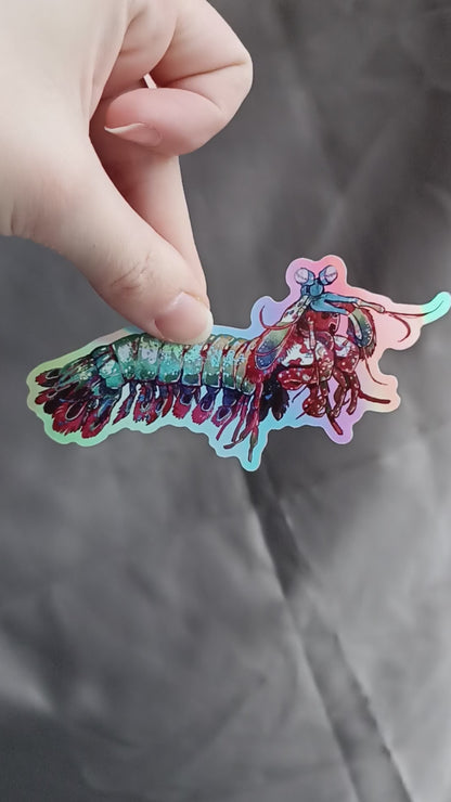 Holographic Mantis Shrimp